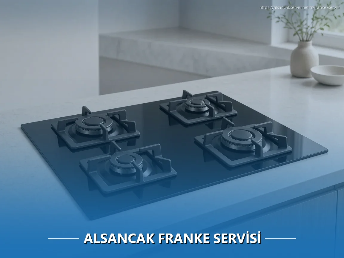 Alsancak Franke Servisi